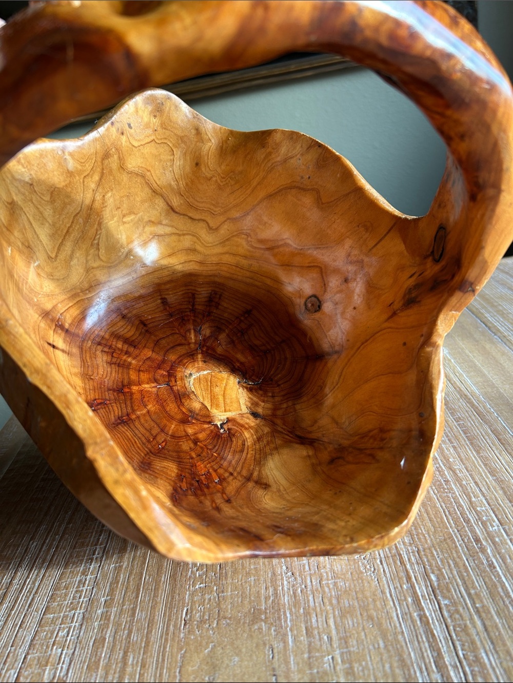 Hand Carved Burl Wood Basket - Rustic Decor Natural Foreging Whimsical Basket - Picture 9 of 16
